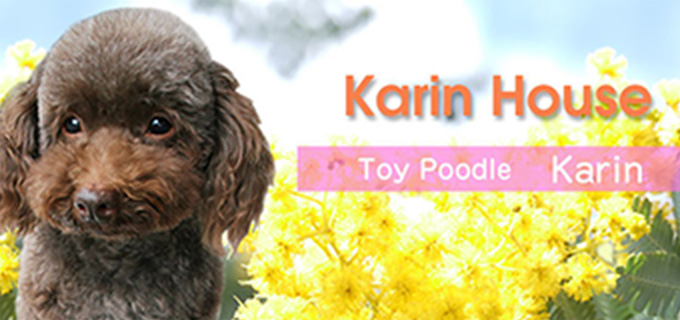 ドッグサロンかりんはうす