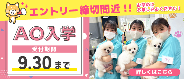 AO入試
