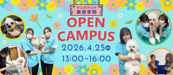 オープンキャンパス